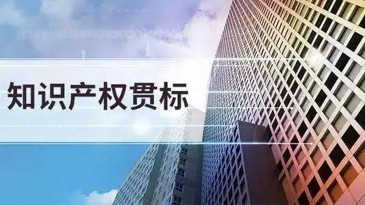 企业没有知识产权可以做贯标吗？
