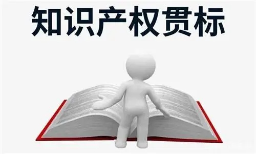 知识产权贯标的主要内容有哪些？