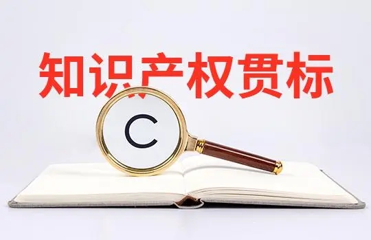 知识产权贯标补贴是怎么规定的？